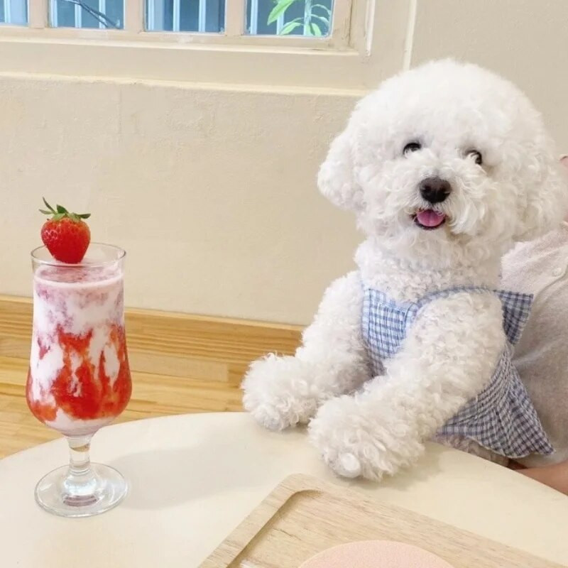 Printsessi stiilis koerakleidid Lemmiklooma ruuduline kleit väikesele ja keskmisele koerale Suvised kutsikarõivad Armas supender kassi seelik Chihuahua riided