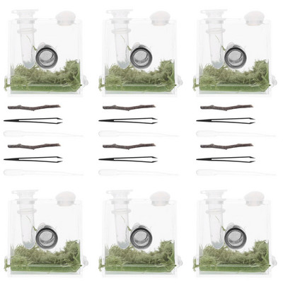 Spider Terrarium Šokinėja voras aptvaras Akrilo roplių veisimo dėžutė Tarantula Scorpion Sling Vienakojai bestuburiai