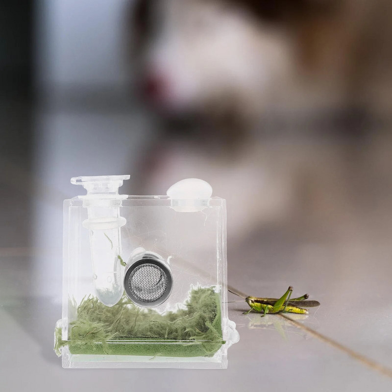Spider Terrarium Šokinėja voras aptvaras Akrilo roplių veisimo dėžutė Tarantula Scorpion Sling Vienakojai bestuburiai