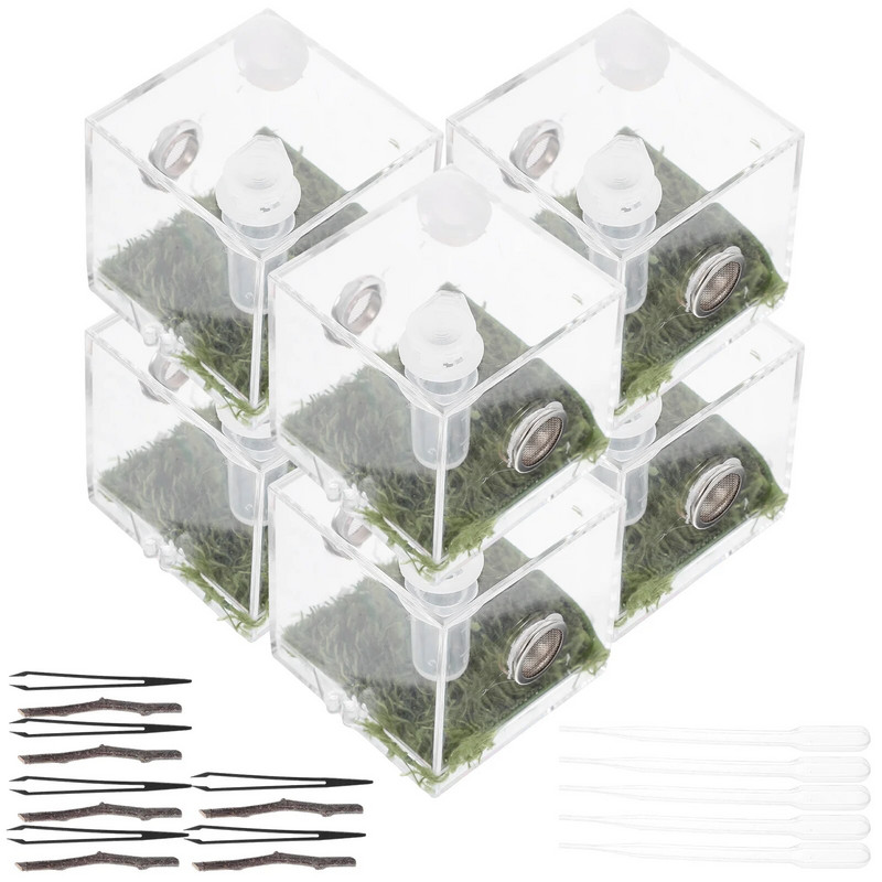 Spider Terrarium Šokinėja voras aptvaras Akrilo roplių veisimo dėžutė Tarantula Scorpion Sling Vienakojai bestuburiai