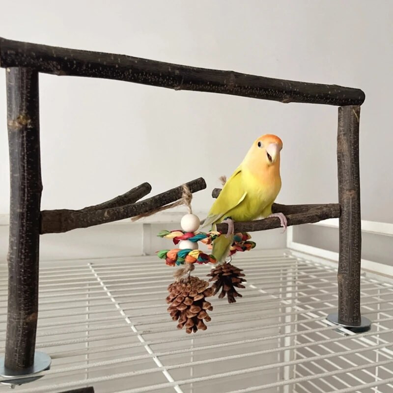 Putnu asaris Nature Wood statīvs papagaiļiem Conure Supplies Budgies Slīpēšanas skrāpis maziem un vidējiem papagaiļiem plaukta rotaļlietu nolaižams kuģis