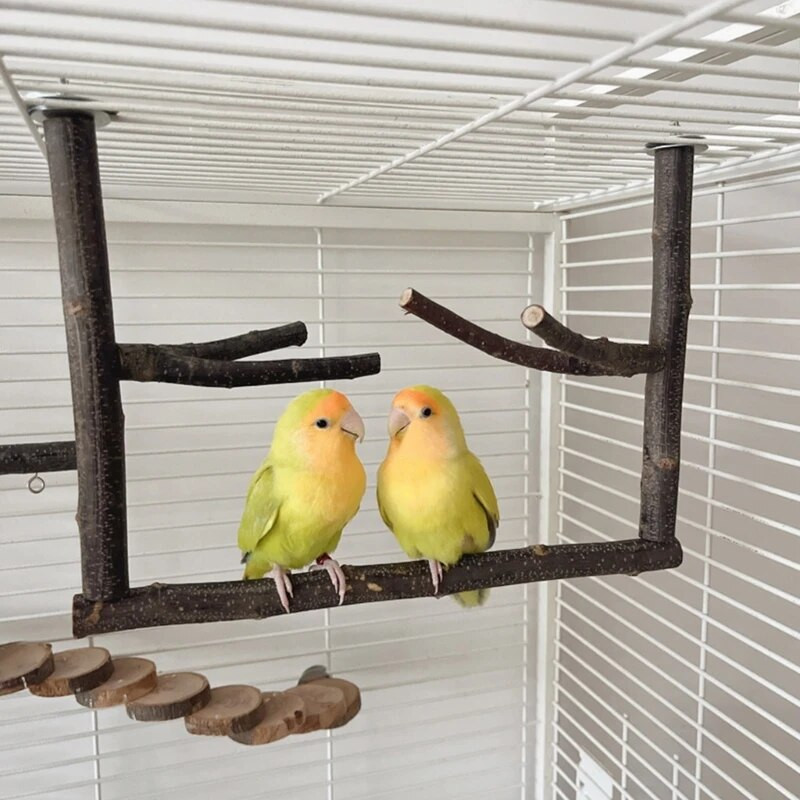 Putnu asaris Nature Wood statīvs papagaiļiem Conure Supplies Budgies Slīpēšanas skrāpis maziem un vidējiem papagaiļiem plaukta rotaļlietu nolaižams kuģis