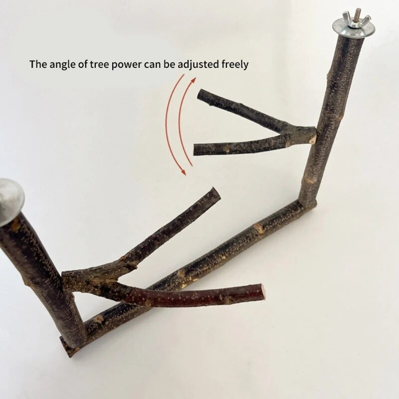 Putnu asaris Nature Wood statīvs papagaiļiem Conure Supplies Budgies Slīpēšanas skrāpis maziem un vidējiem papagaiļiem plaukta rotaļlietu nolaižams kuģis