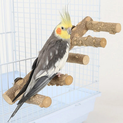 Bird Perches Natural Parrot Perch Bird Stand Paw Grinding Fork Parakeet Climbing Branches Toy Standing Branch Ladder Toys Bird