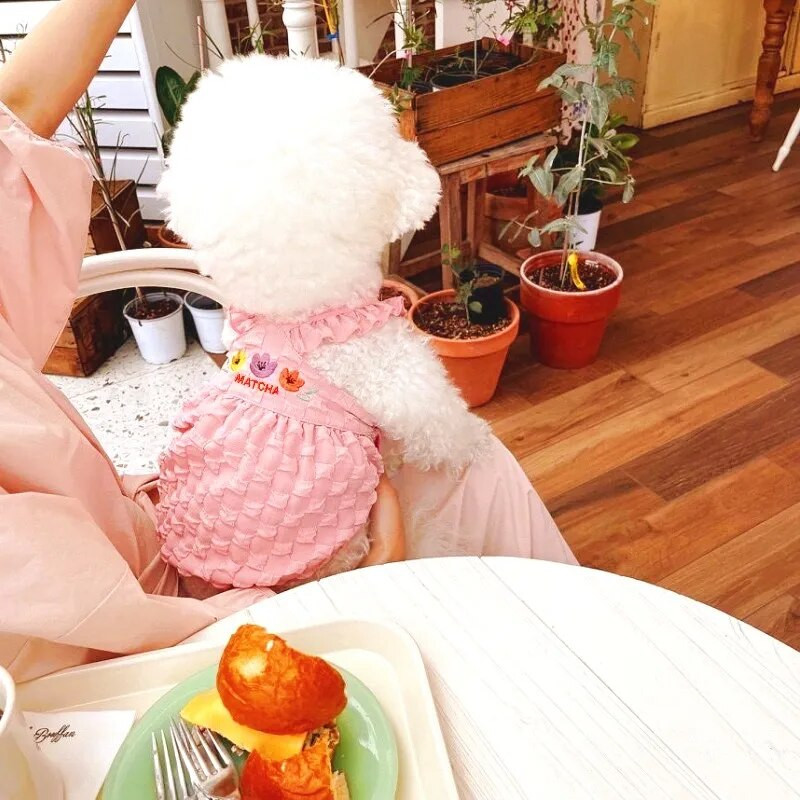 Vasaras suņu dzesēšanas veste Jauki suņu bikšturi Kleita Suņa Apģērbs Meitenes Bišons Čivavas Apģērbs Suņu Kostīms Mājdzīvnieku Veste Kucēnu Svārki