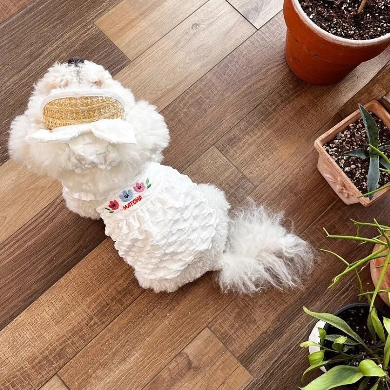 Vasaras suņu dzesēšanas veste Jauki suņu bikšturi Kleita Suņa Apģērbs Meitenes Bišons Čivavas Apģērbs Suņu Kostīms Mājdzīvnieku Veste Kucēnu Svārki