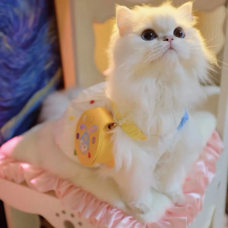 Sling pentru câine Fusta geometrică cu bule de vară Fusta scurtă prințesă Teddy Yorkshire Schnauzer Cățeluș maltez Haine pentru pisici Rochie drăguță pentru animale de companie