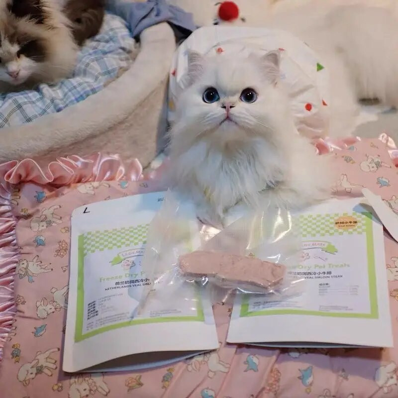 Sling pentru câine Fusta geometrică cu bule de vară Fusta scurtă prințesă Teddy Yorkshire Schnauzer Cățeluș maltez Haine pentru pisici Rochie drăguță pentru animale de companie