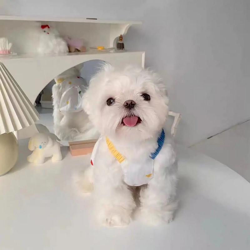 Sling pentru câine Fusta geometrică cu bule de vară Fusta scurtă prințesă Teddy Yorkshire Schnauzer Cățeluș maltez Haine pentru pisici Rochie drăguță pentru animale de companie