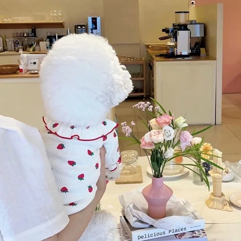 Rozā zemeņu kucēnu veste Plānas mežģīnes mājdzīvnieku drēbes Teddy Mājīga vasaras kleita Mājas suns Augļu apģērbs Suņu aksesuāri