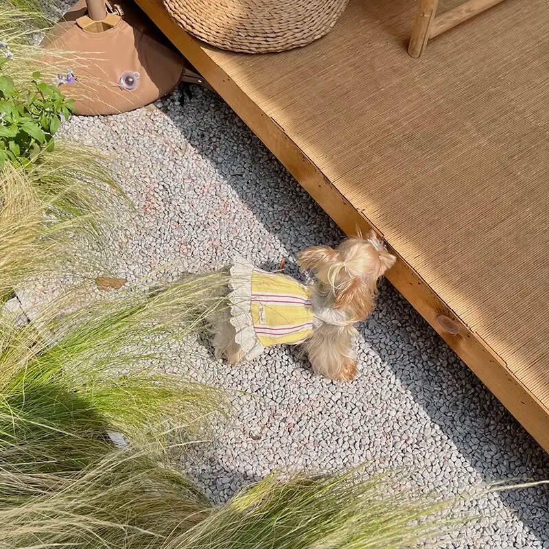 Haljina s trakama za kućne ljubimce Haljina s prugama za pse Ljetne pruge Retro ruralna haljina s naramenicama Yorkshire Teddy Bear Haljina za kućne ljubimce Haljine za pse za male pse