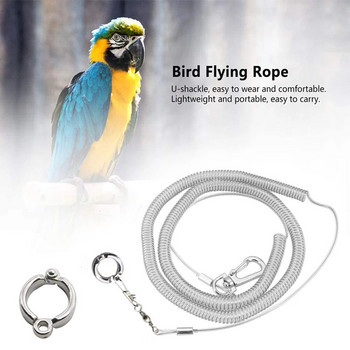 Αλυσίδα ποδιών πουλιού Parrot Anti-flying Traction Rope Βραχιόλι Πόδια Πουλί από κράμα Δαχτυλίδι ποδιών Pet Bird Flying Travel Training Leash