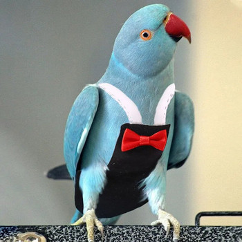 Πάνα Bird Parrot με παπιγιόν, χαριτωμένη φόρμα πτήσης, ρούχα με πάνα για πράσινο μάγουλο Conure Parakeet Pigeons Medium Large Pet Bird