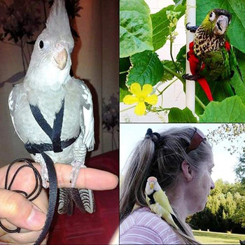 Εκπαίδευση Flying Traction Rope Anti-Bite Training Rope Bird Leash Parrot Flying Rope Parrot Harness Bird Harness Leash