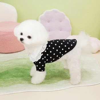 Сладко ново дантелено черно-бело кучешко облекло на точки Лятна тънка тениска Теди Малко куче Тениска за домашен любимец Облекло за двукрако кученце