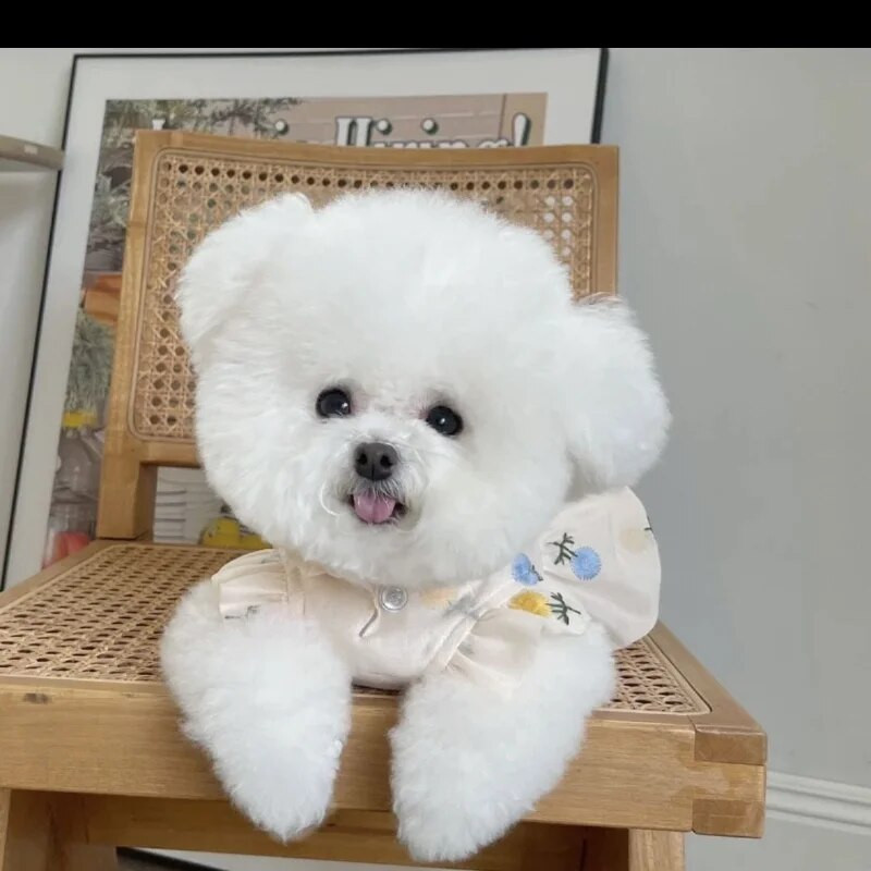 Κουτάβι Μόδα παπιγιόν Φούστα για κατοικίδια Ρούχα για σκύλους Πριγκίπισσα Φόρεμα Σκυλιά Ρούχα Γάτα Μικρό Εκτύπωμα Χαριτωμένο Λεπτό Καλοκαιρινό Σχεδιαστής Ενδυμάτων για Σκύλους