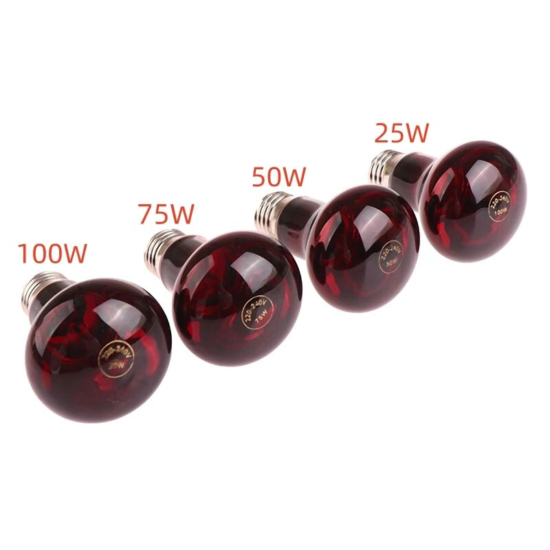 1 db Pet Red Fűtőlámpa E27 Nappali Éjszakai Kétéltű Kígyó Lámpa Hüllő Izzó UV Fény 25W 50W 75W 100W AC220-240V