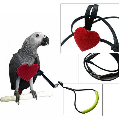 Parrot Bird Harness Leash Super Soft Wear Resistant Emulsion Outdoor Parrot Flying Training Rope for Camping