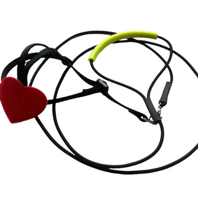 Papagailis putnu iejūga siksna Super mīksta, nodilumizturīga emulsija āra papagaiļu lidošanas trenēšanas virve kempingiem