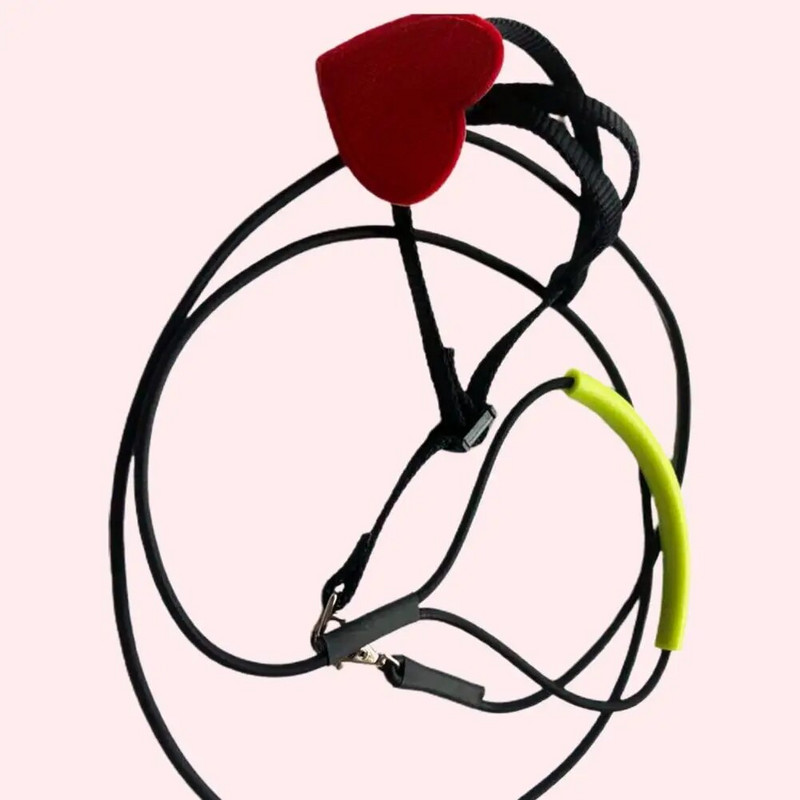 Papagailis putnu iejūga siksna Super mīksta, nodilumizturīga emulsija āra papagaiļu lidošanas trenēšanas virve kempingiem