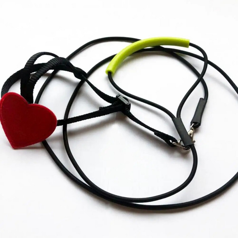 Papagailis putnu iejūga siksna Super mīksta, nodilumizturīga emulsija āra papagaiļu lidošanas trenēšanas virve kempingiem