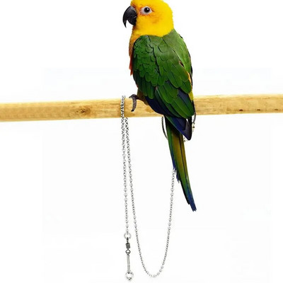 Bird Parrot Foot Chain από ανοξείδωτο ατσάλι Δαχτυλίδι ποδιών αστραγάλου Stand Αλυσίδα εκπαίδευσης για πέταγμα εξωτερικού χώρου Αξεσουάρ πουλιών SMLXL