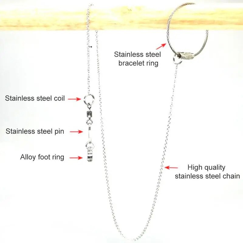 Madárpapagáj láblánc rozsdamentes acél boka lábgyűrű állvány lánc kültéri repüléshez madárkiképzéshez SMLXL