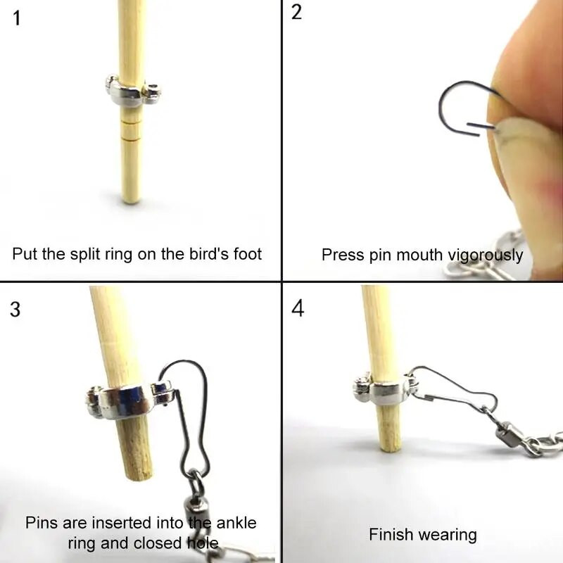 Madárpapagáj láblánc rozsdamentes acél boka lábgyűrű állvány lánc kültéri repüléshez madárkiképzéshez SMLXL