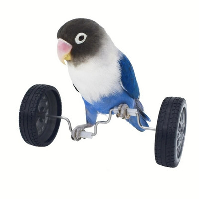 Treeninglind, pöörleva rattaga mänguasi väike papagoi treeniv papagoi puur mänguasi, tasakaalustav jalgratas lemmikloomade takistused Sporditarbed Y5GB