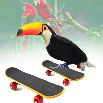 Bird Parrot Intelligence Toys Mini Training Skateboard Parakeet Growth Toy