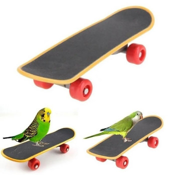 Bird Parrot Intelligence Toys Mini Training Skateboard Parakeet Growth Toy