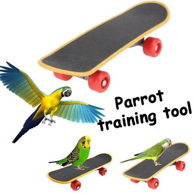Linnupapagoi intelligentsusmänguasjad Rula-papagoi kasvulelu