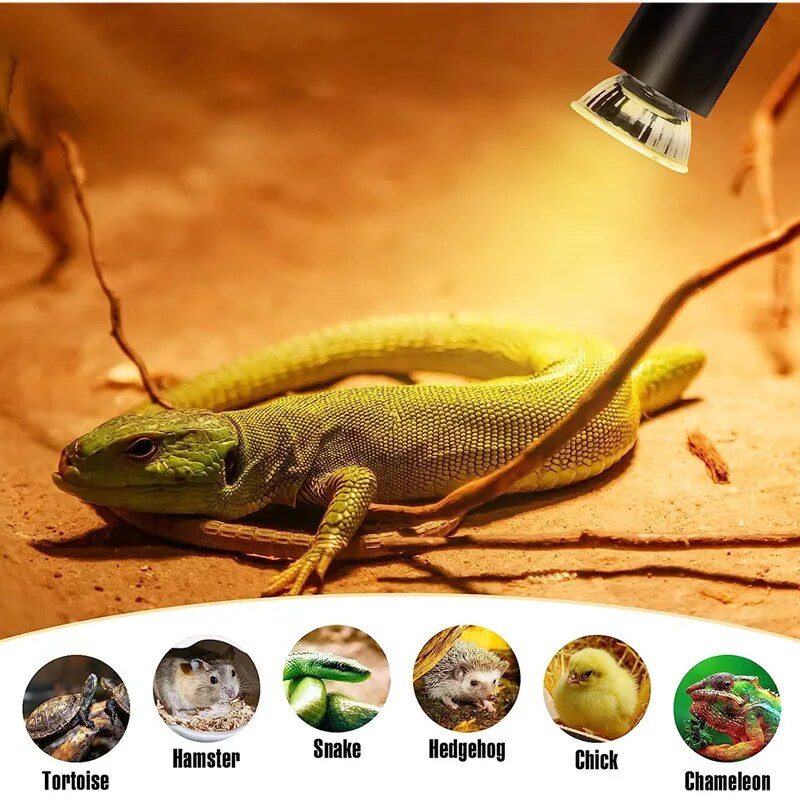 25/50/75W UVA+UVB 3.0 Rāpuļu lampas spuldze Bruņurupucis Basking UV gaismas spuldzes Apkures lampa Abinieki Ķirzakas Temperatūras kontrolieris