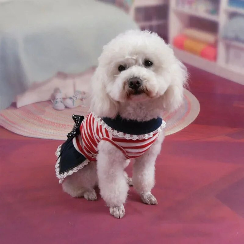 Vasaras svītrainām mežģīņu kleitas mājdzīvnieku suņu apģērbi maziem suņiem Apģērbi kucēnu džinsa kleitas Čivavas Jorkšīras pūdelis svārki