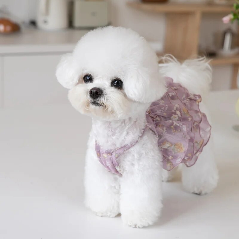 Vasaras šifona kūka Kārtaini svārki Mājdzīvnieku kaķu suns Teddy kleita Modes mājdzīvnieku apģērbi Kucēni Suņi Apģērbi Suņu Jaka Veste Čivava