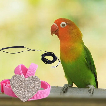 Λουρί έλξης Parrot Adjustable Prevent Break Free Parrot Traction Leash Εξαιρετικά ελαφρύ λουρί εκπαίδευσης πουλιών και σετ λουριών Προμήθειες πουλιών