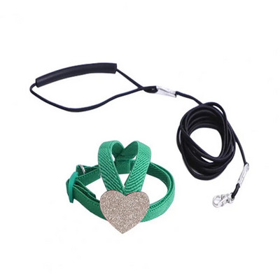 Regulējama papagaiļa siksna, kas novērš pārtraukumu, īpaši viegla putnu apmācības siksna un pavadas komplekts, piederumi putniem