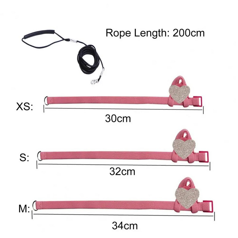 Regulējama papagaiļa siksna, kas novērš pārtraukumu, īpaši viegla putnu apmācības siksna un pavadas komplekts, piederumi putniem