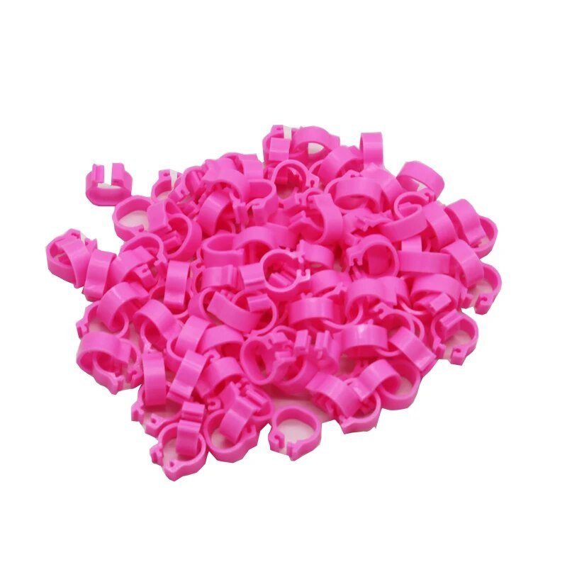 400 tk 8 mm linnujala klambrirõngas tuvi treeningtööriistad 10 värvi linnupapagoi söötmine, identifitseerimine jalarõngas loomade tarvikud