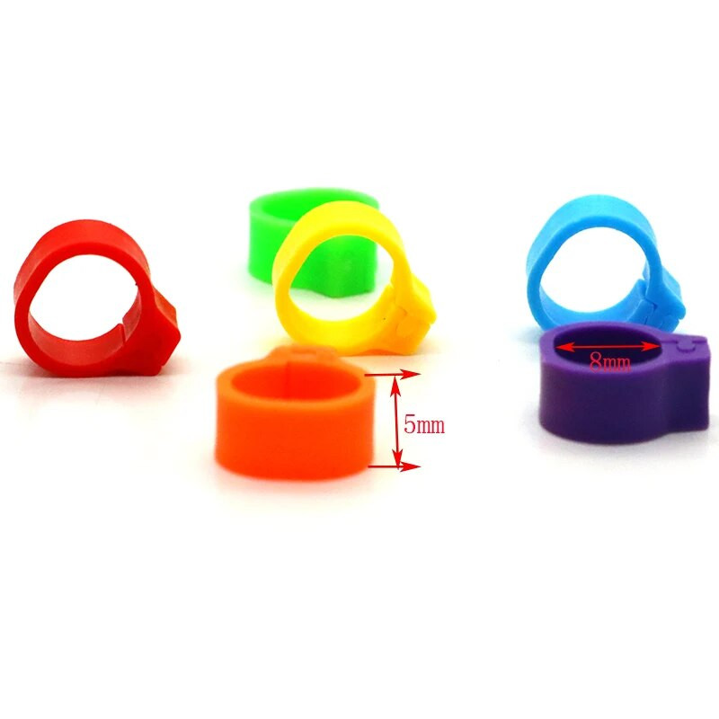 100 tk. tuvijalg kodulind tuvi lind tibud pardipapagoi klambrirõngad riba jalarõngas tuvitarvikud siseläbimõõt 8 mm laius 5 mm