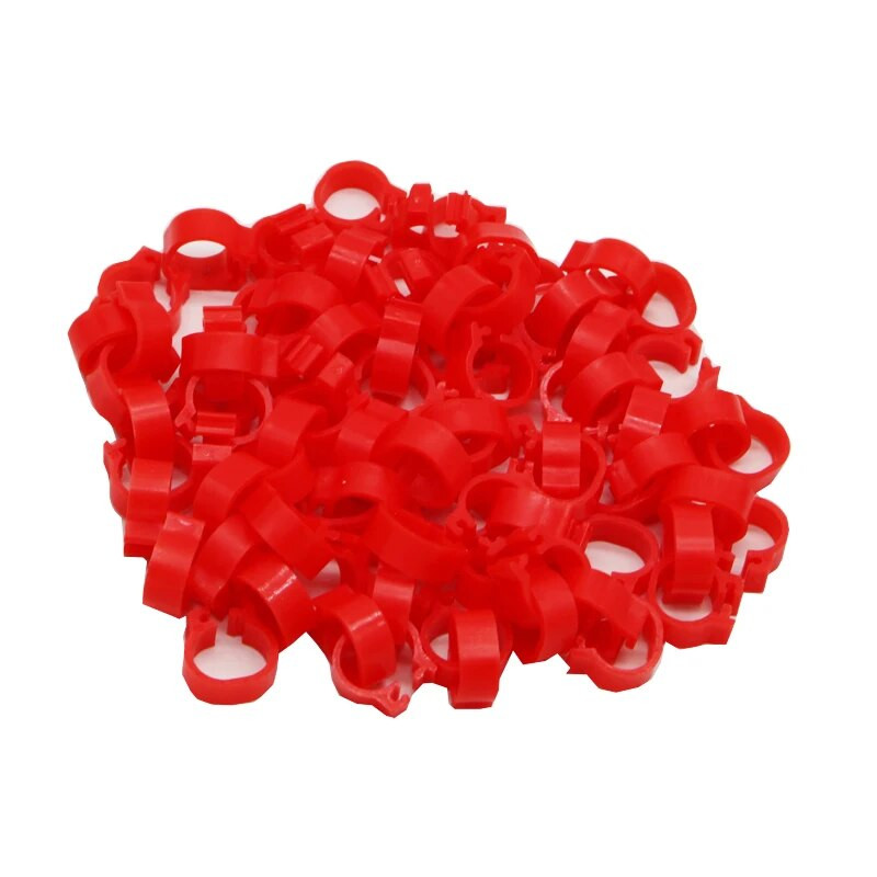 100 tk. tuvijalg kodulind tuvi lind tibud pardipapagoi klambrirõngad riba jalarõngas tuvitarvikud siseläbimõõt 8 mm laius 5 mm