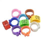 100 gab. Iekšējais diametrs 10 mm Baloža kāja Mājputns Balodis Papagailis Saspraudes Gredzeni Lenta Pēdu Gredzens Baložu piederumi Putnu piederumi