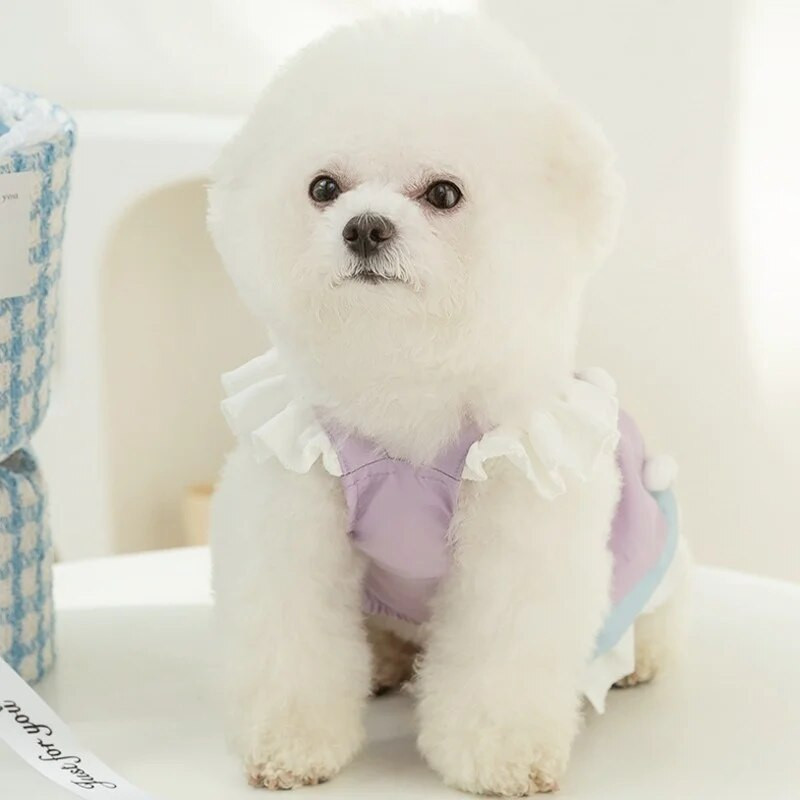 Modes kleita suņiem maziem un vidējiem suņiem jauks kucēns princeses svārki priekšgala kaķis lidojošas piedurknes svārki mājdzīvnieku kleita čivavas suņu apģērbs