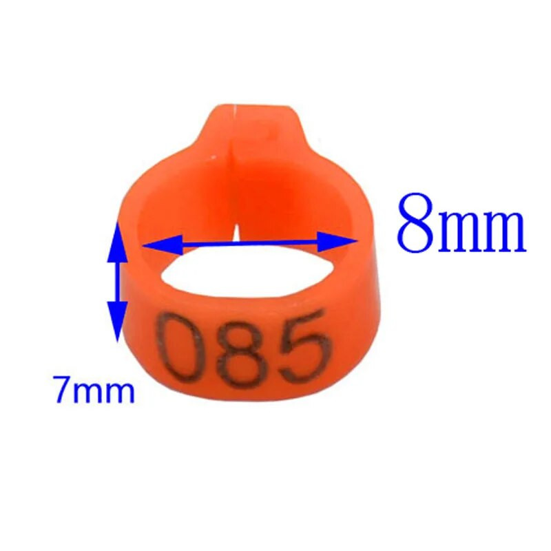 100 gab. Iekšējais diametrs 8 mm Baloža kāja Mājputni Balodis Papagailis Saspraudes Gredzeni Lenta Pēdas Gredzens Baložu piederumi Putnu piederumi