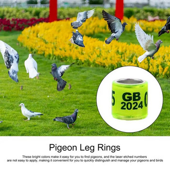 Δαχτυλίδια αναγνώρισης περιστεριών 50 τμχ Αξεσουάρ Safe Birdhouse Ζώνες Universal Pigeon Supplies Bands Δαχτυλίδια ποδιών πουλιών Αξεσουάρ Pegeon