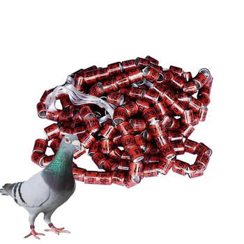 Δαχτυλίδια αναγνώρισης περιστεριών 50 τμχ Αξεσουάρ Safe Birdhouse Ζώνες Universal Pigeon Supplies Bands Δαχτυλίδια ποδιών πουλιών Αξεσουάρ Pegeon