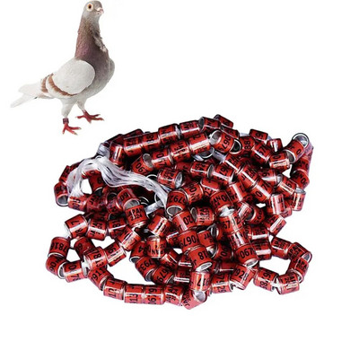 Baložu identifikācijas gredzeni 50 gab. Drošas putnu mājas aksesuāri Universālie baložu piederumi Lentes putnu pēdu gredzeni Pegeon aksesuāri