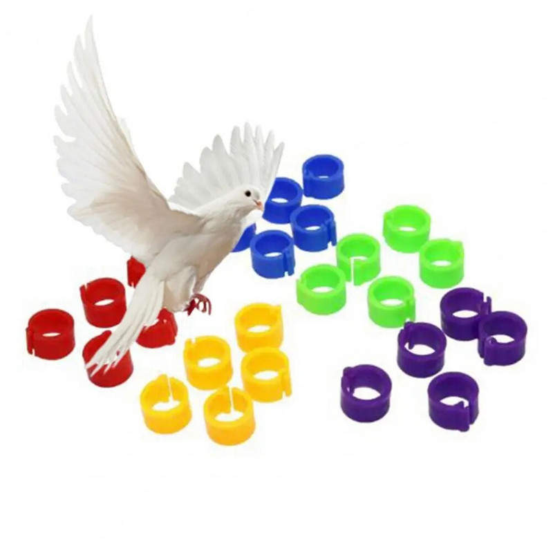 Papagaiļa kāju klipšu krāsu maisījums, viegli noņemams Ērtas papagaiļa kāju pēdu siksnas Clip Pīles pēdas gredzeni Videi draudzīgi