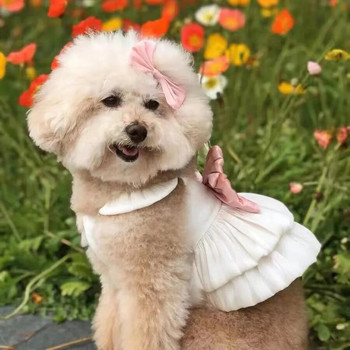 Моден костюм за домашно куче Лятна пола с панделка Пискюл Дишаща пола от марля Теди Котка Костюм за куче