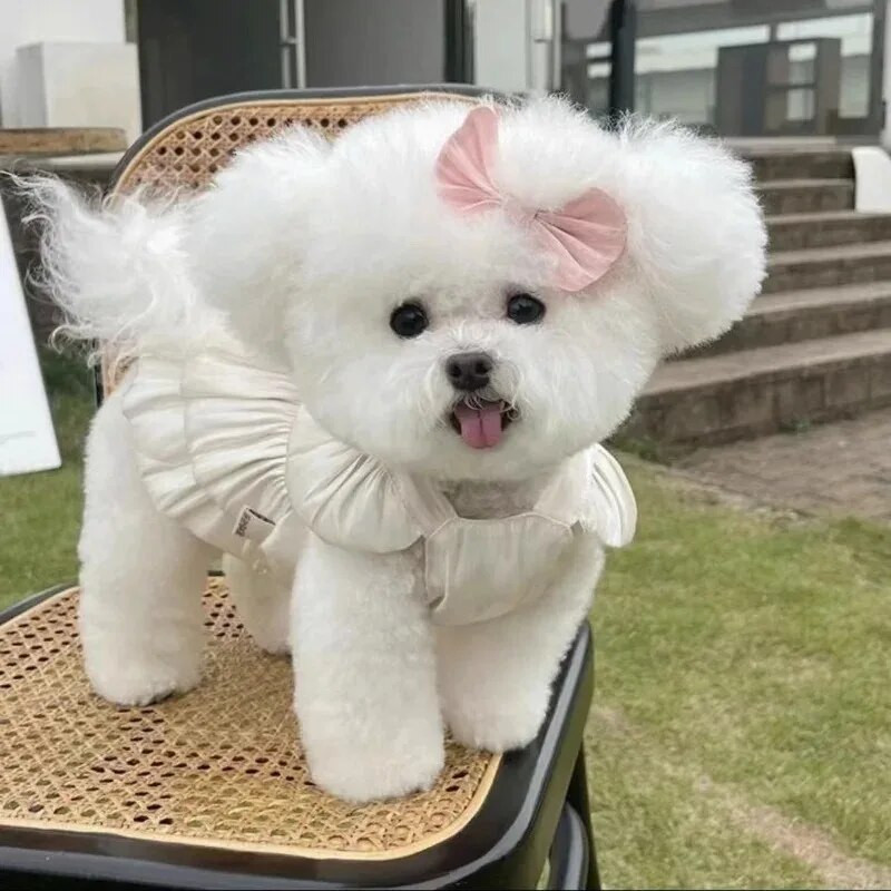 Modes mājdzīvnieku suņa kostīms Vasaras tauriņa svārki pušķis elpojoši marles svārki Teddy Cat vilkšanas suņa kostīms